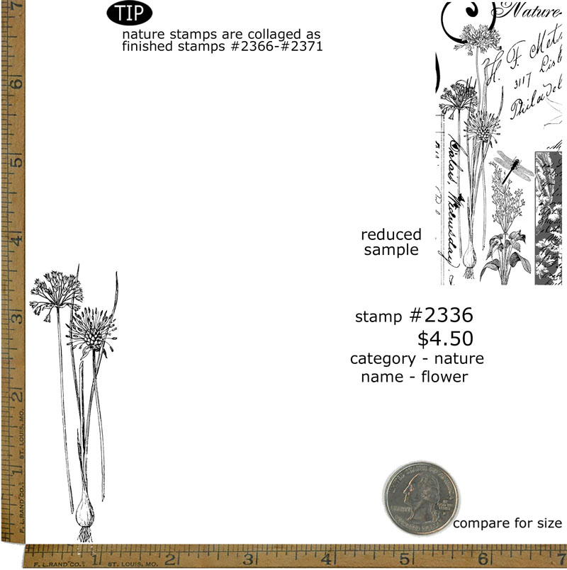 #2336 - Flower - Nature